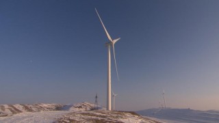 Thumbnail of post image 050